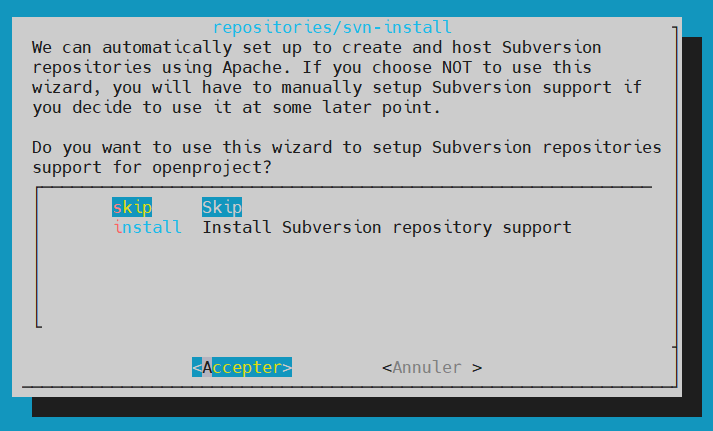 repositories_svninstall