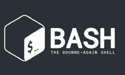 Featured image of post Scripting bash : Couleurs / Styles texte