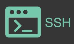 Featured image of post SSH : SSHS, une interface utilisateur pour SSH dans le terminal