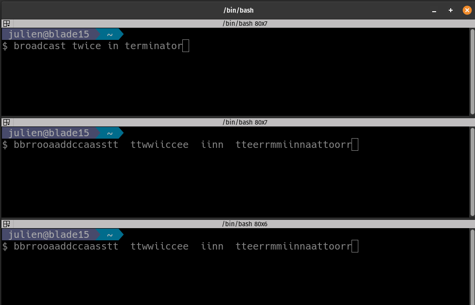 terminator_broadcast_twice